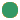 genauer